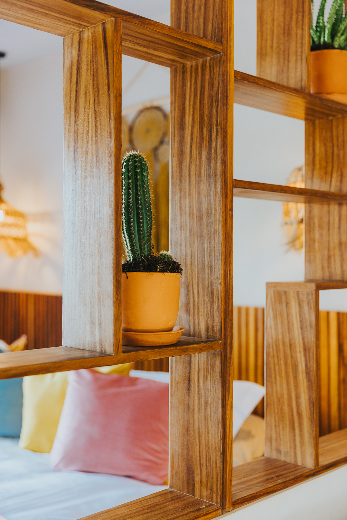 Handcrafted tzalam wood shelving with cactus and pastel cushions
